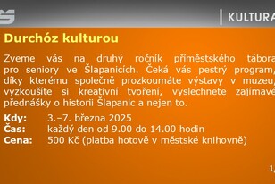 Snímek22